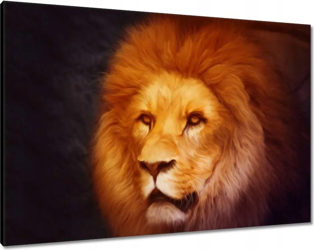 Vászonkép 100x70 Oroszlánkirály