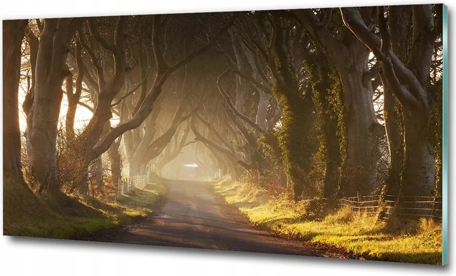 Fotó üvegkép Felhők az égen 125x50