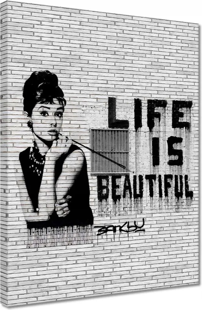Festmények 30x40 Banksy Life is beautiful