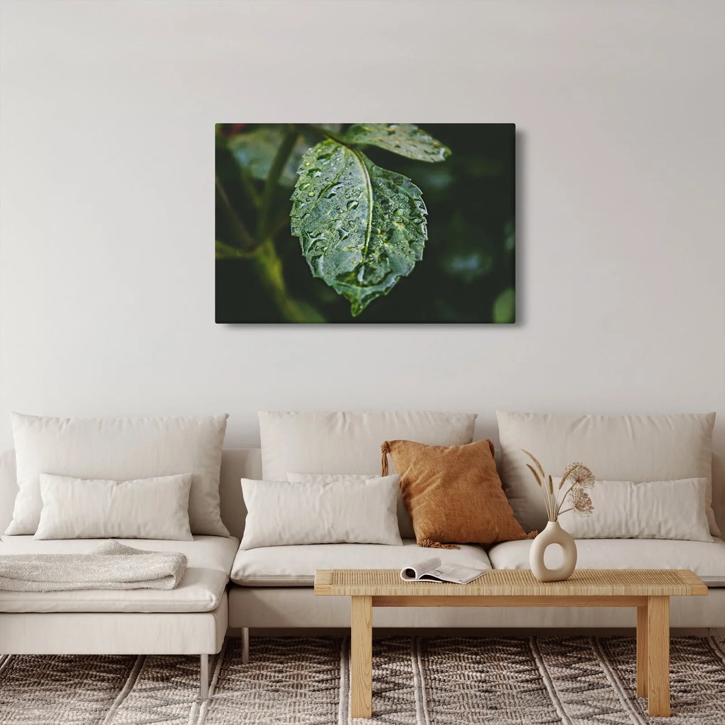 Kép - cseppek a levelen (90x60 cm)