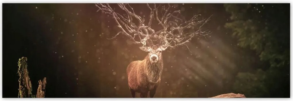 Poszterek 200x66 Szarvas felszarvazott