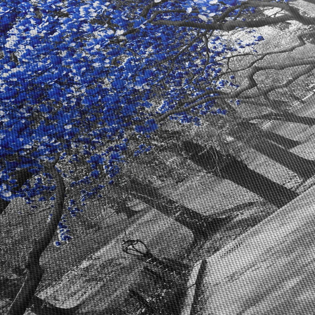 Kép - Kék fák, Central Park, New York (70x50 cm)
