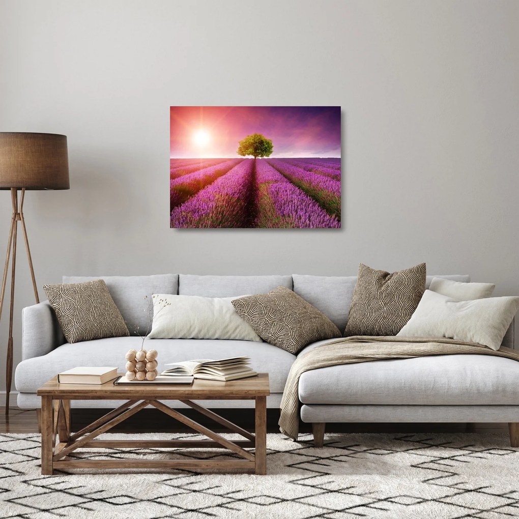 Levendula mező képe (üvegen) (70x50 cm)