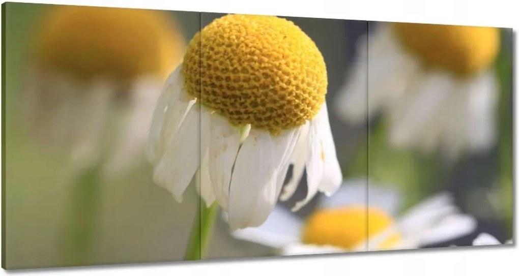 Festmények 180x90 Kamilla