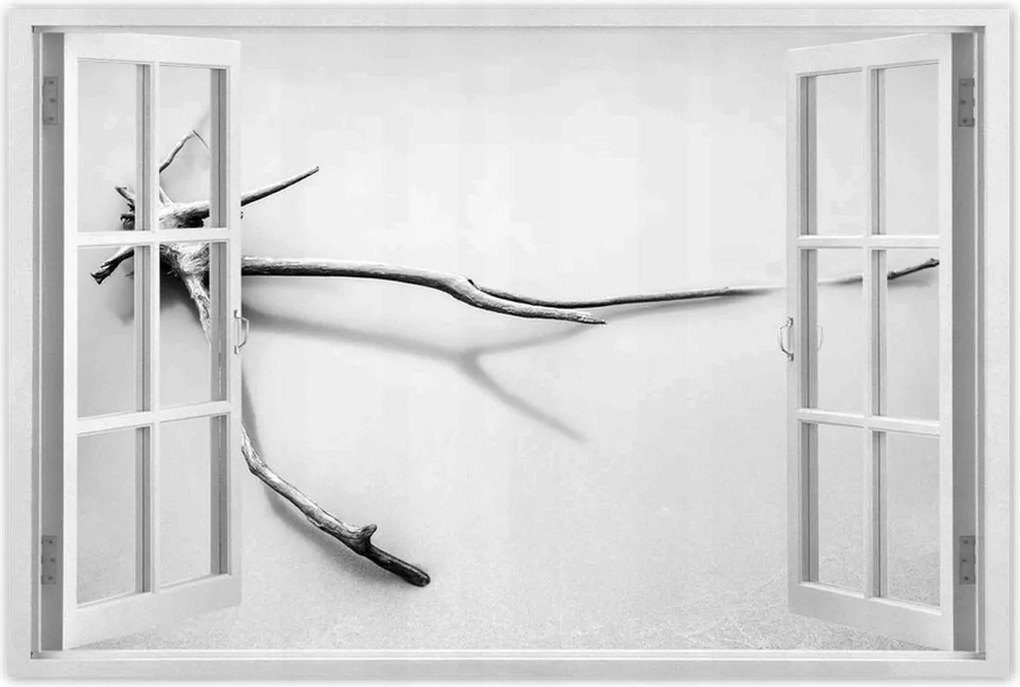 Poszterek 60x40 Tenger Gyökér a tengerparton