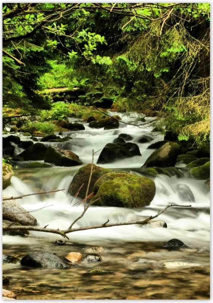 Poszterek 70x100 Patak a hegyekben