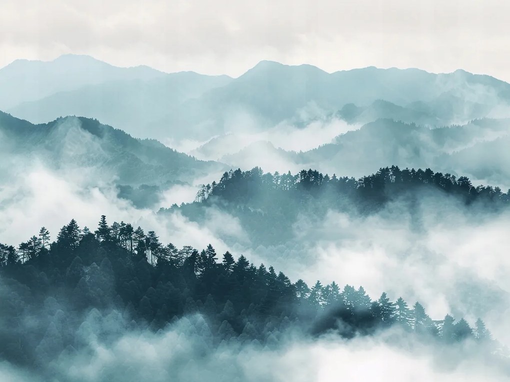 Vászonkép Canvas Tájkép Kilátás Szabadtéri Erdő Hegyek Fák Köd 100x75