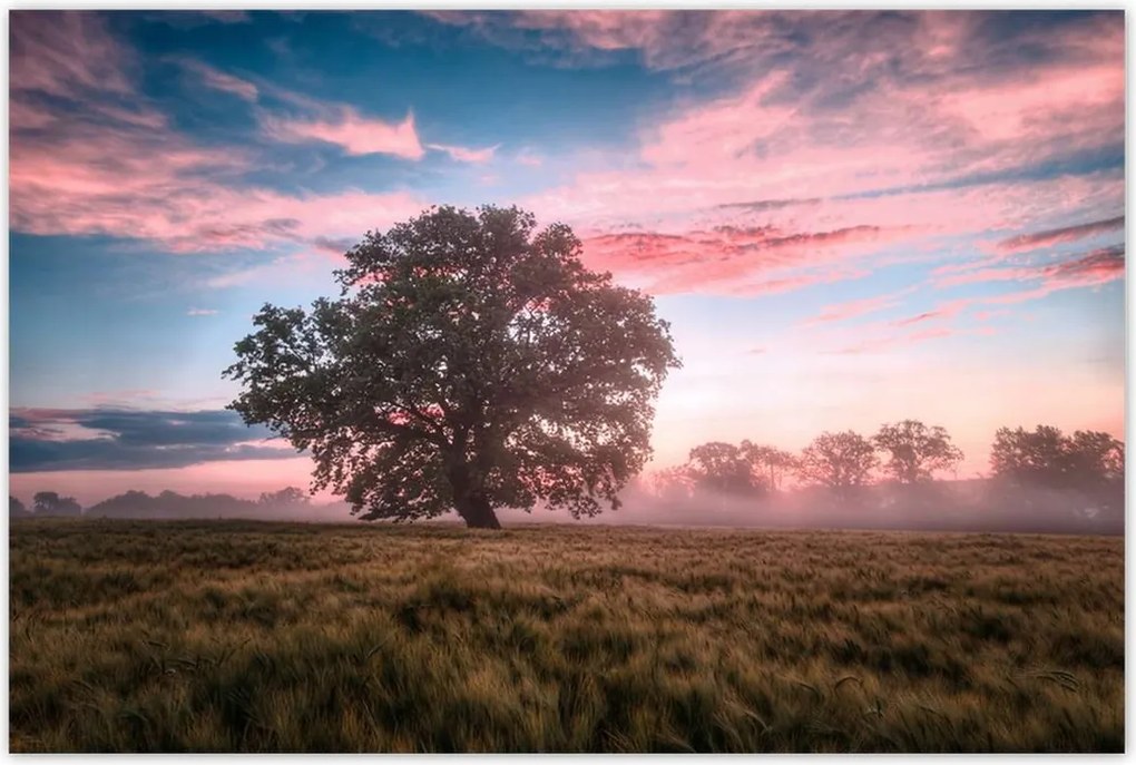 Poszterek 120x80 Candy tájkép Köd