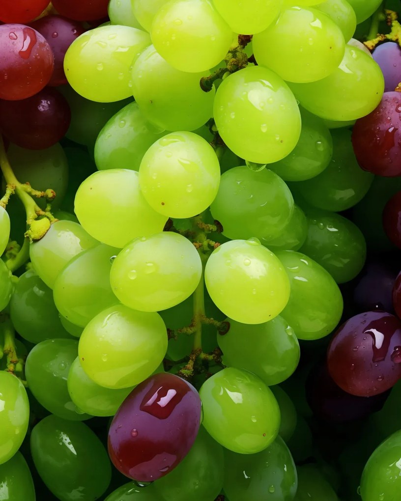 Poszter 40x50cm Szőlő kaleidoszkóp