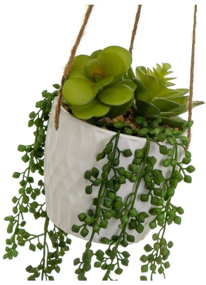 Műnövény (magasság 40 cm) – Casa Selección