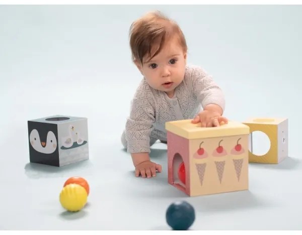 Taf Toys - Interaktív játékkészlet Északi-sark