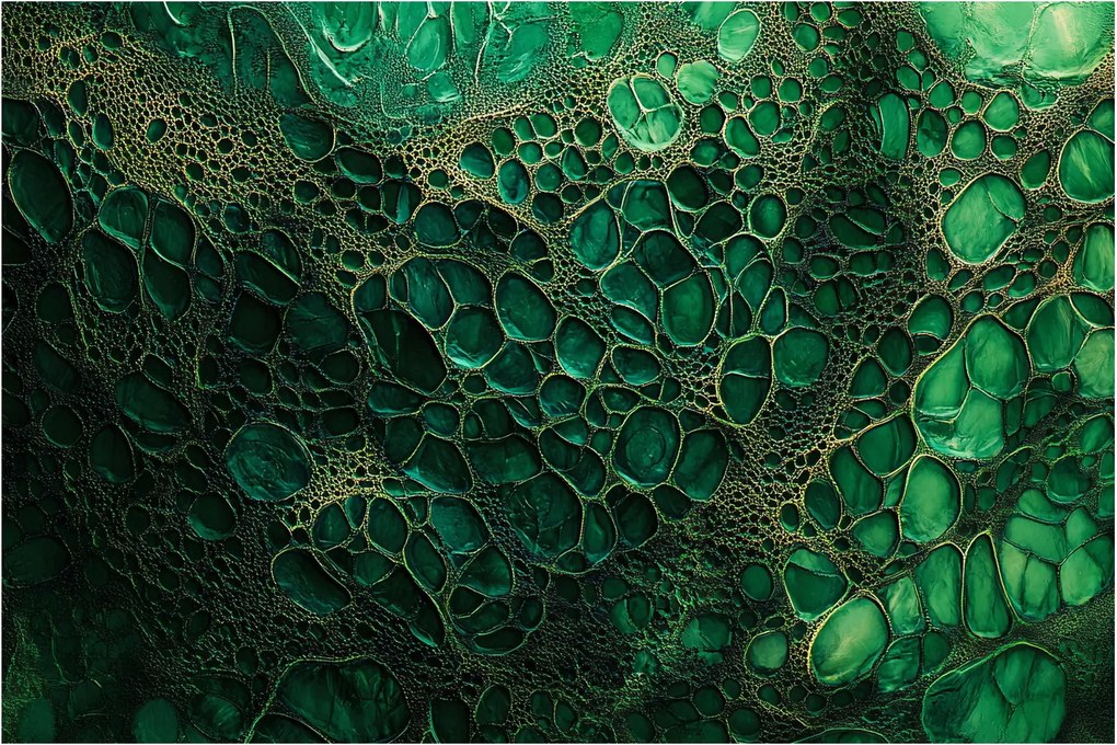 Kép - Zöld mikroszkópos kép (90x60 cm)