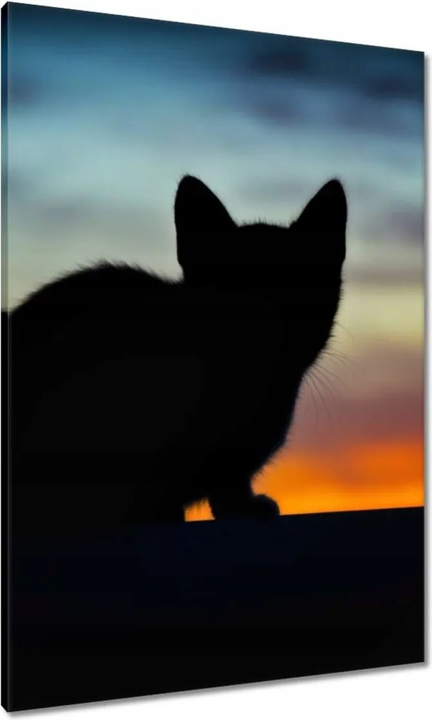 Vászonkép 70x100 Búvó cica