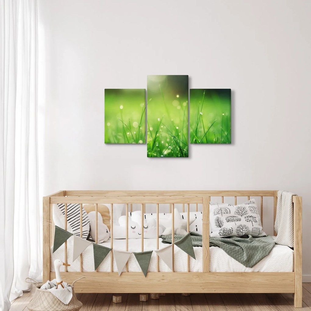 Kép - harmatos fű (90x60 cm)