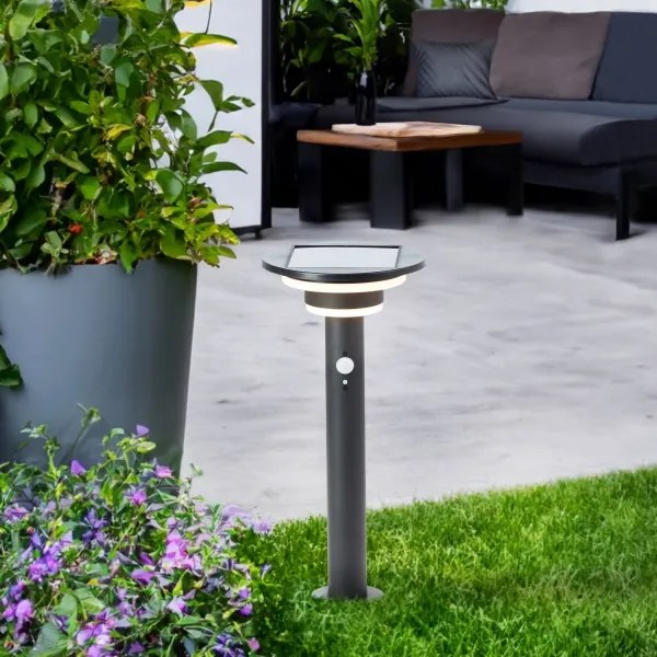 Brilliant - LED Napelemes lámpa érzékelővel GARVINA LED/3W/3,7V 45 cm IP44 fekete