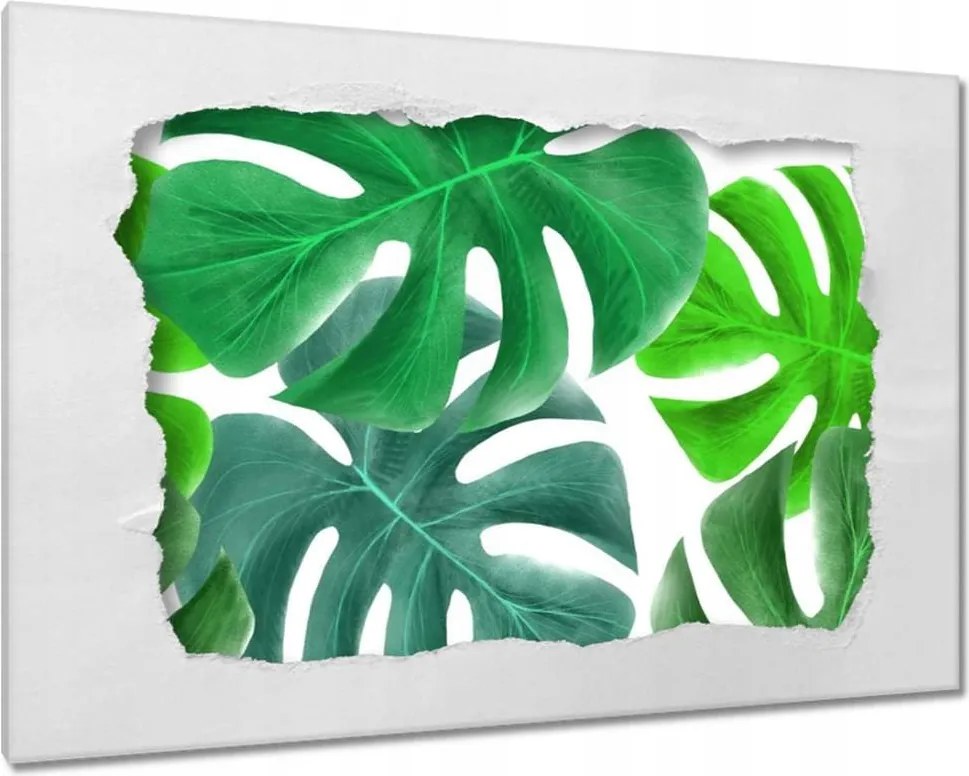 Vászonkép 60x40 Levelek Monstery Trópusok