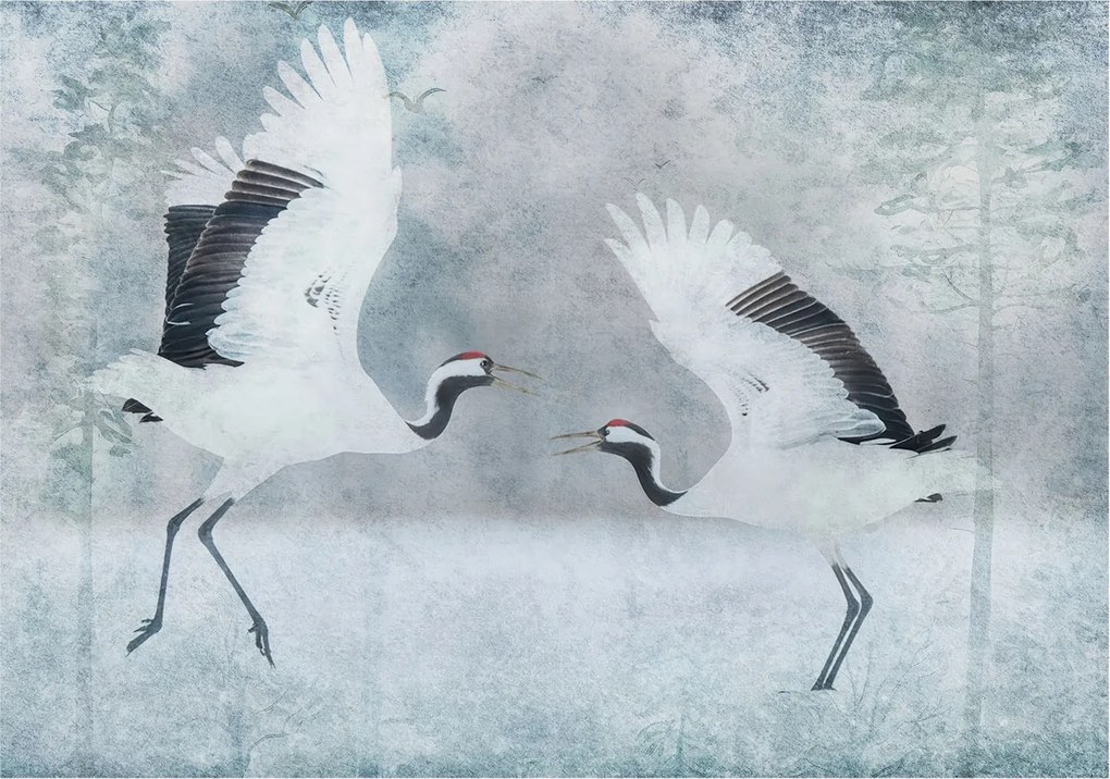 Fotótapéta Flizelin az Otthon szobájába 3D Harmonikus daruk 208x146 Ragasztó