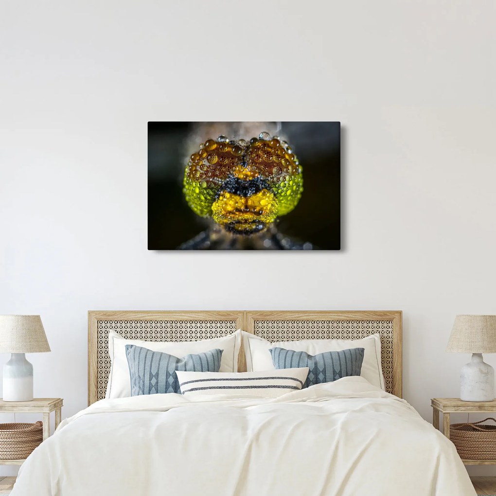 Részletes kép a rovar szemről (90x60 cm)