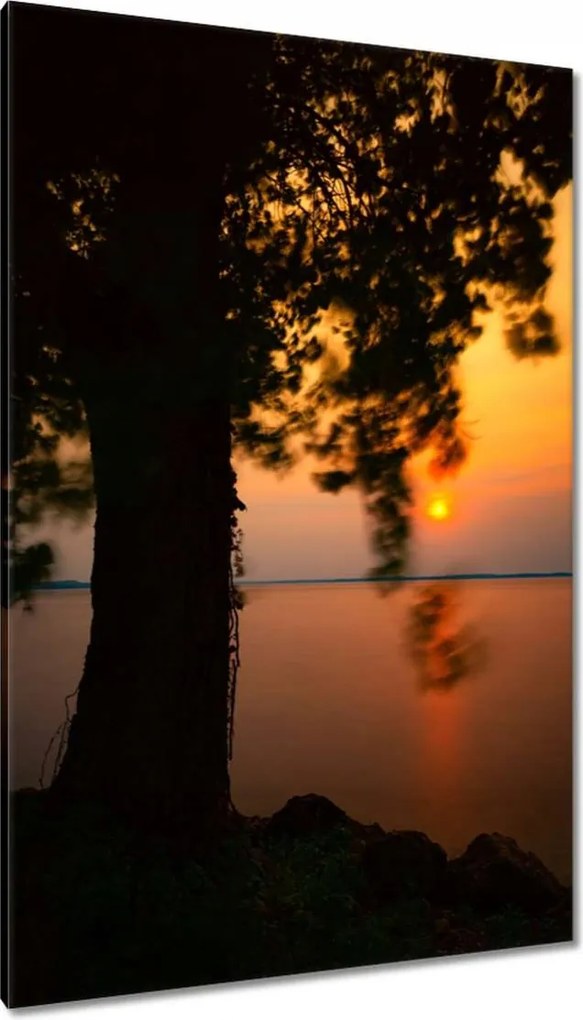 Vászonkép 80x120 Fa Napnyugta