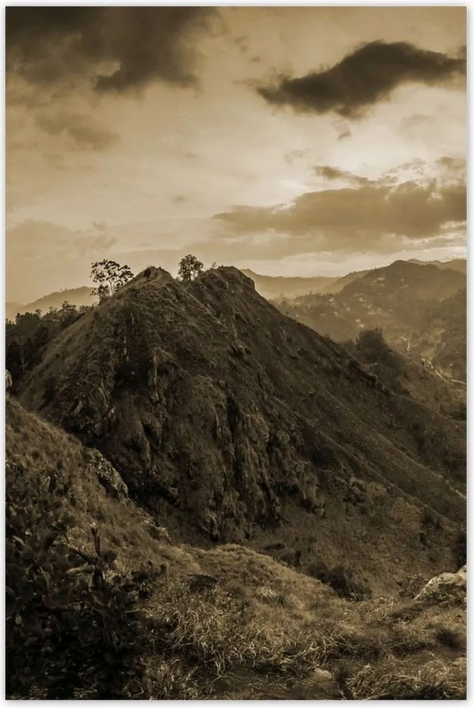 Poszterek 60x90 Barna tájkép Tájkép