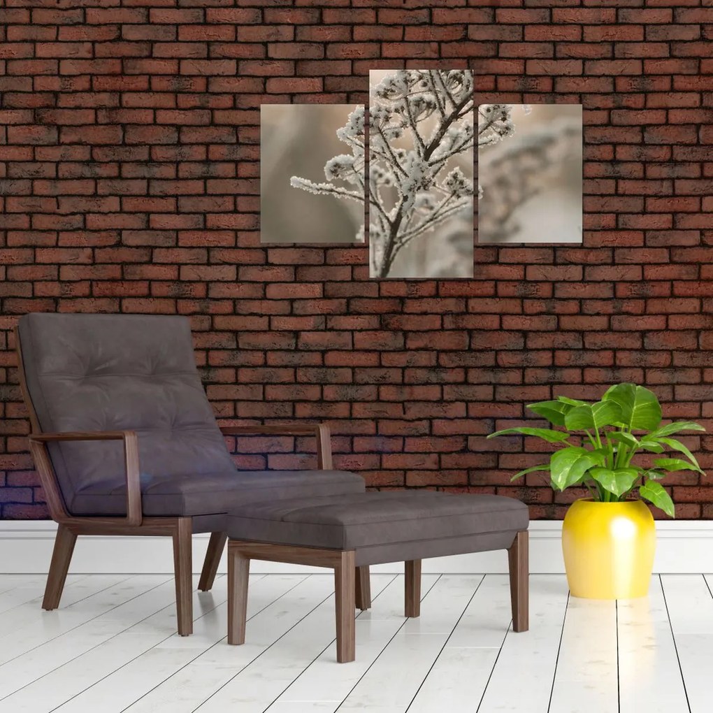 Kép - Növény fagyban (90x60 cm)