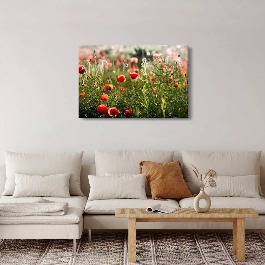 Pipacsok képe (90x60 cm)