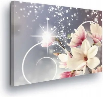 Vászonkép 80x60 Magnólia virágok tavasz finomság ragyogás absztrakt dekoráció