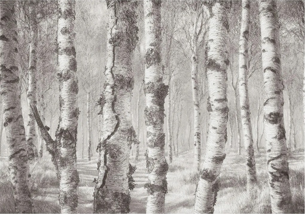 Fotótapéta Flizelina Nappali és Hálószoba Nyírerdő 312x219 Ragasztó