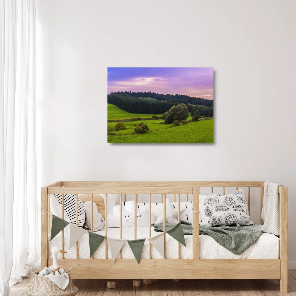 Rét képe (üvegen) (70x50 cm)