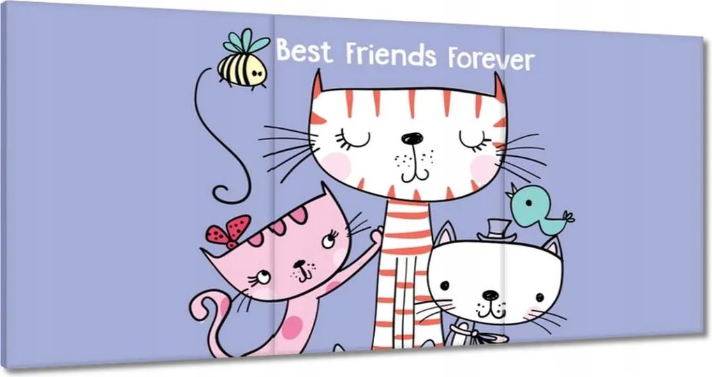 Vászonkép 120x60 Cica Cicák Macskák