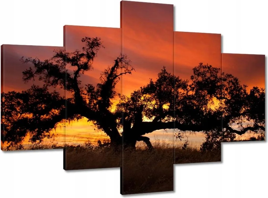 Festmények 100x70 Akác Afrikában