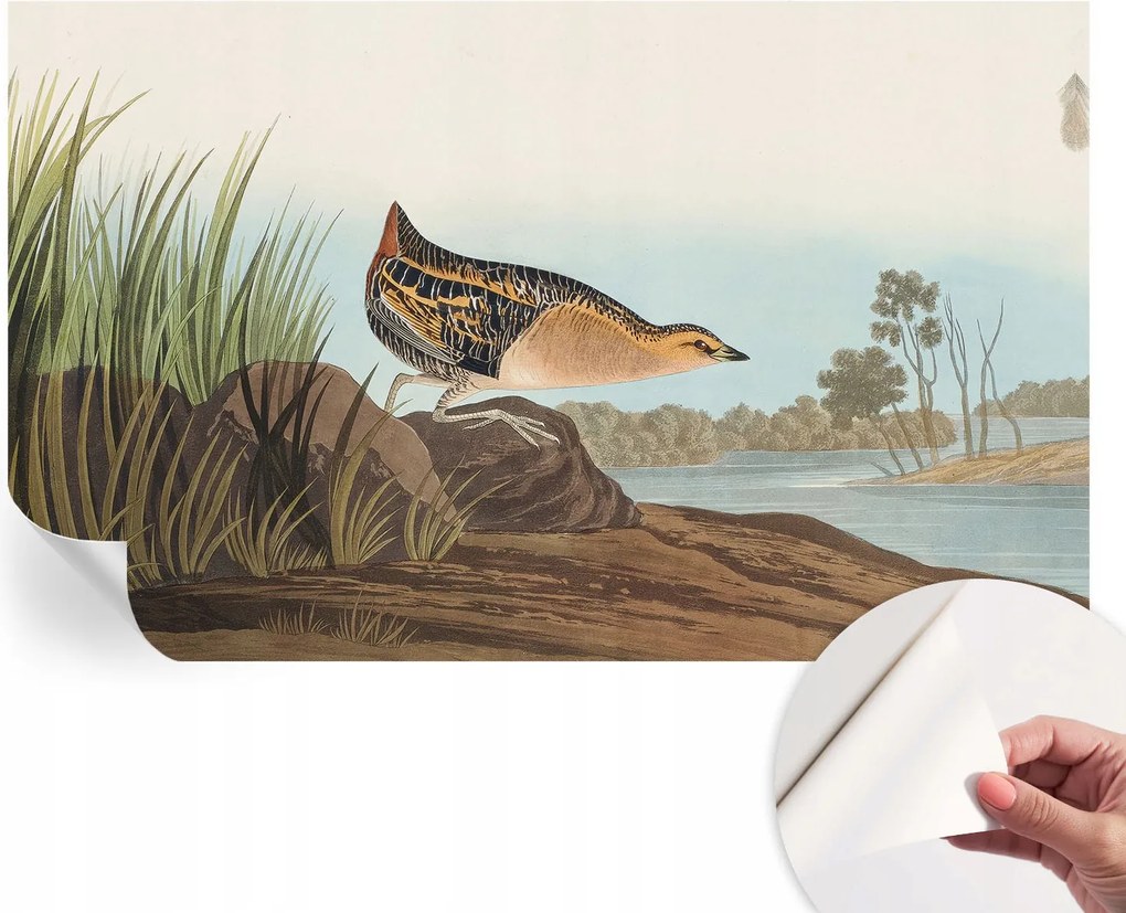 Dekoratív Öntapadós Tapéta Divatos Minták Természetes jelenet 416x254 cm