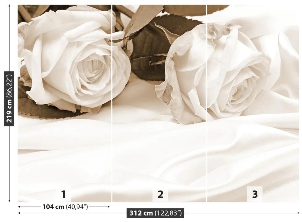 Fotótapéta Sepia rózsák 104x70 cm