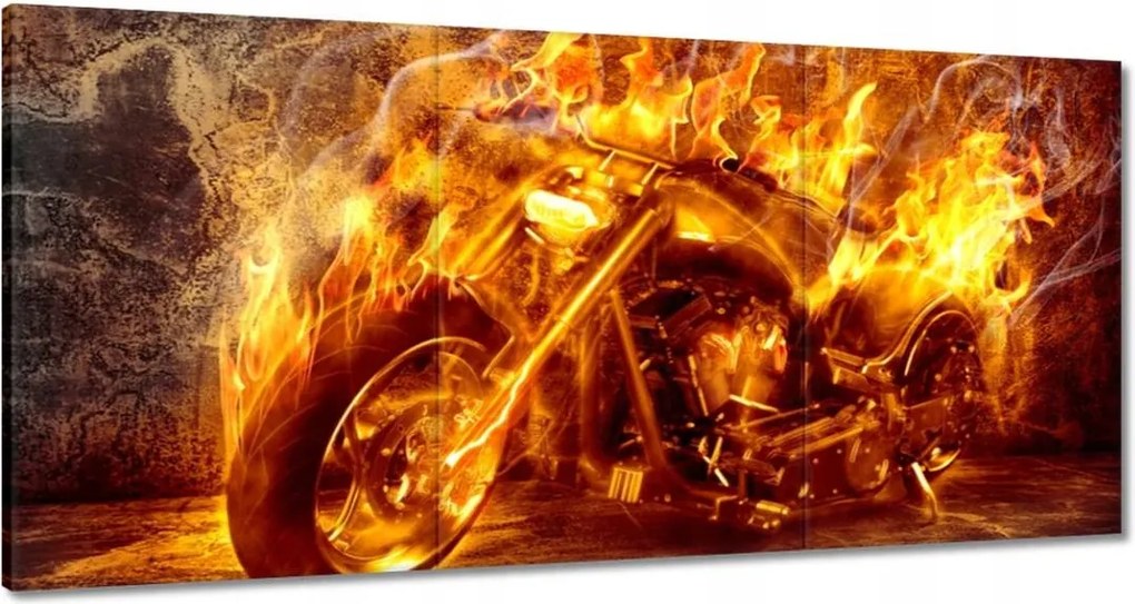 Festmények 180x90 Chopper a tűzben