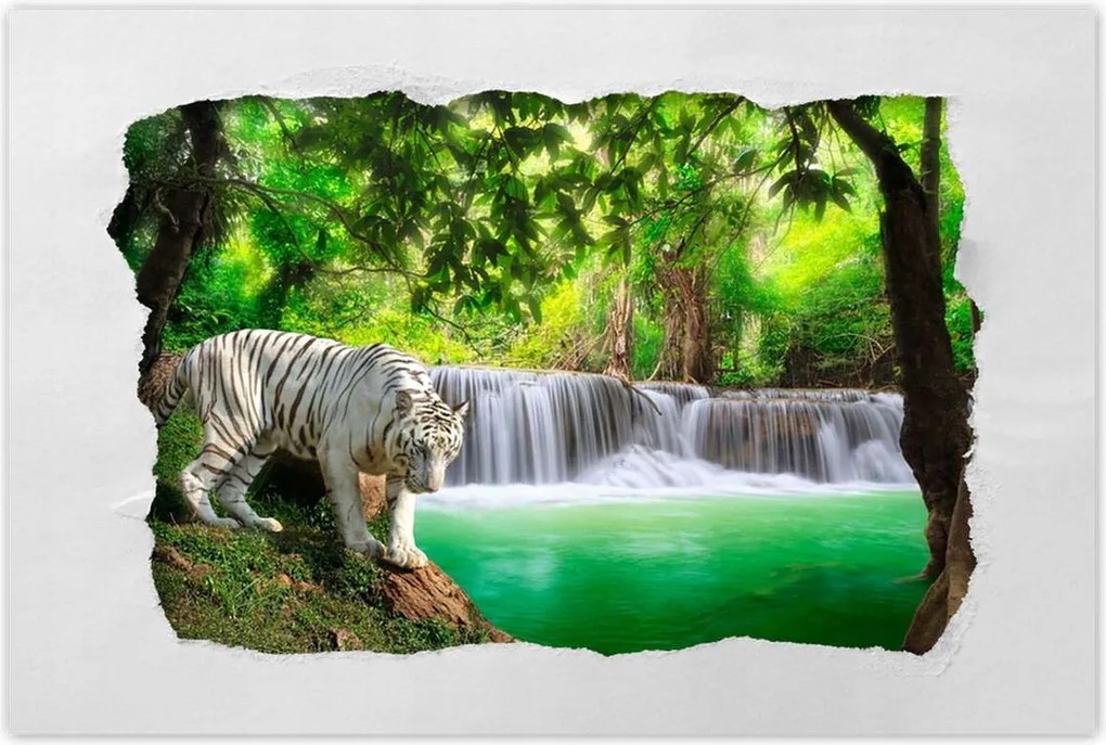 Poszterek 90x60 Tigris a vízesésnél