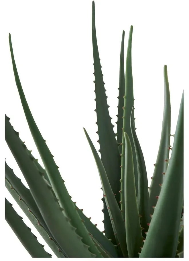 Műnövény (magasság 51 cm) Aloe Vera – House Nordic