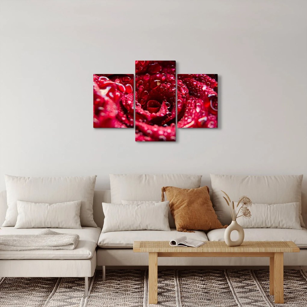 Vörös rózsa virágzata képe (90x60 cm)