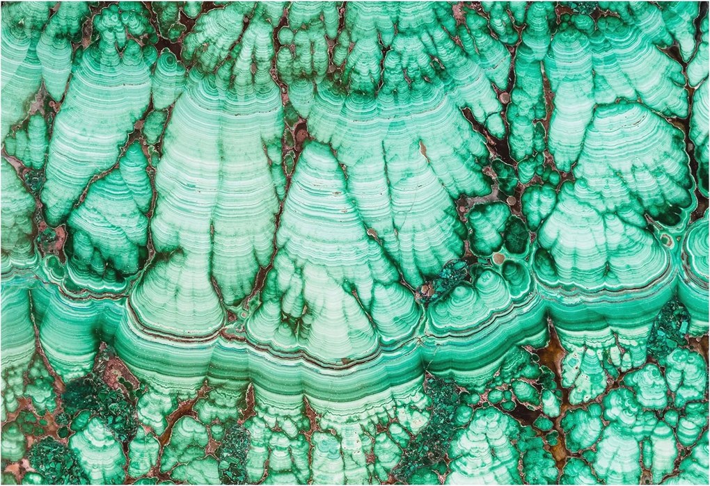 Flizelin tapéta Divatos 3D fali ragasztóval Zöld minták 152x104 Ragasztó