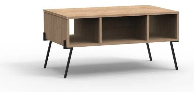 Natúr színű dohányzóasztal tölgyfa dekorral 60x100 cm Evan – Marckeric