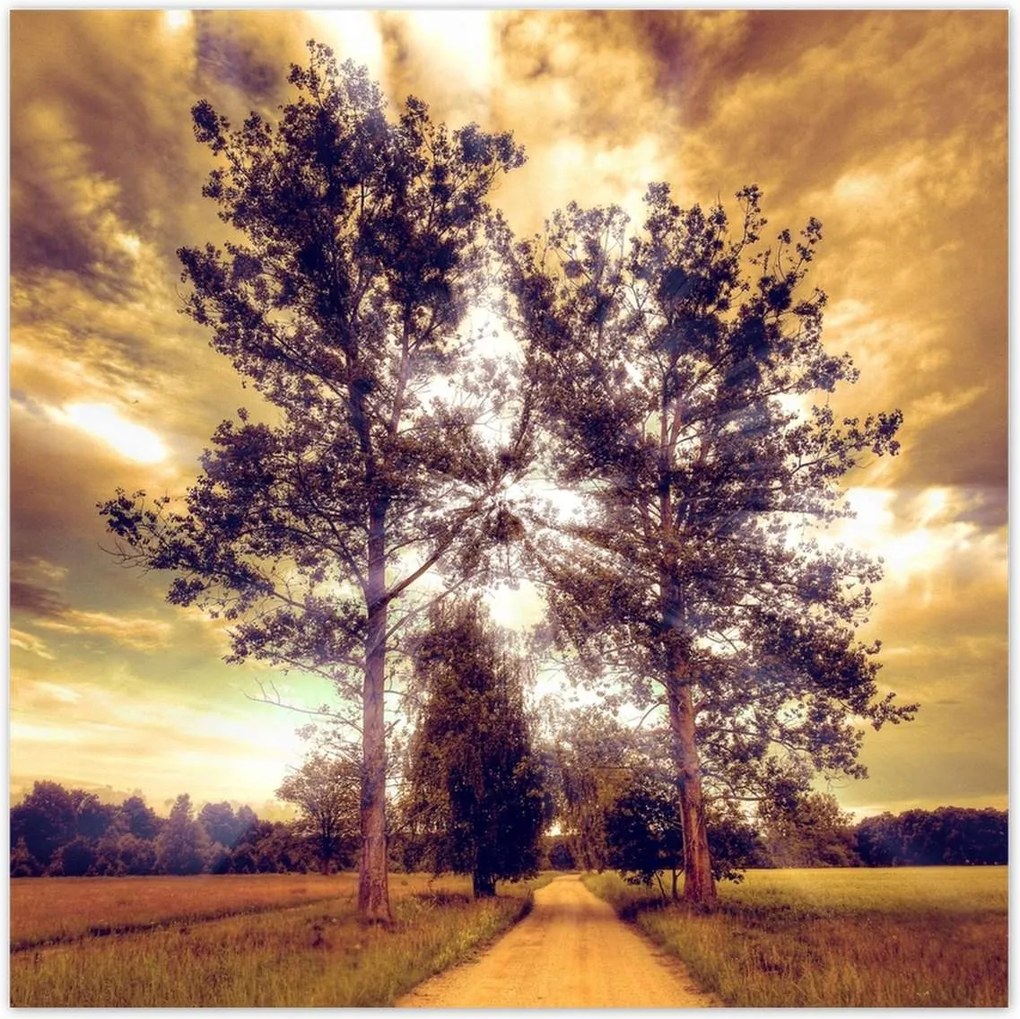 Poszterek 30x30 Vidéki tájkép úttal