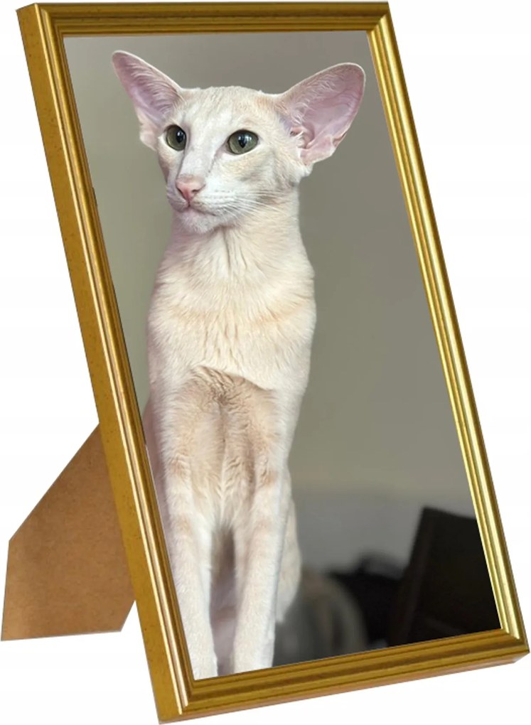 Klasszikus képkeret falra és elhelyezésre 13x18 Arany hullám