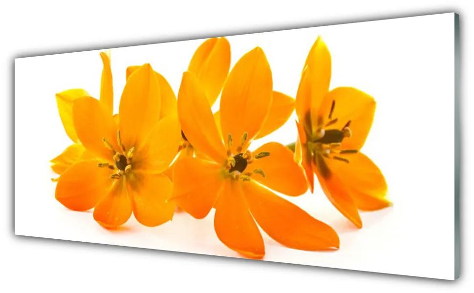 Akril üveg kép Orange növény virágai 100x50 cm