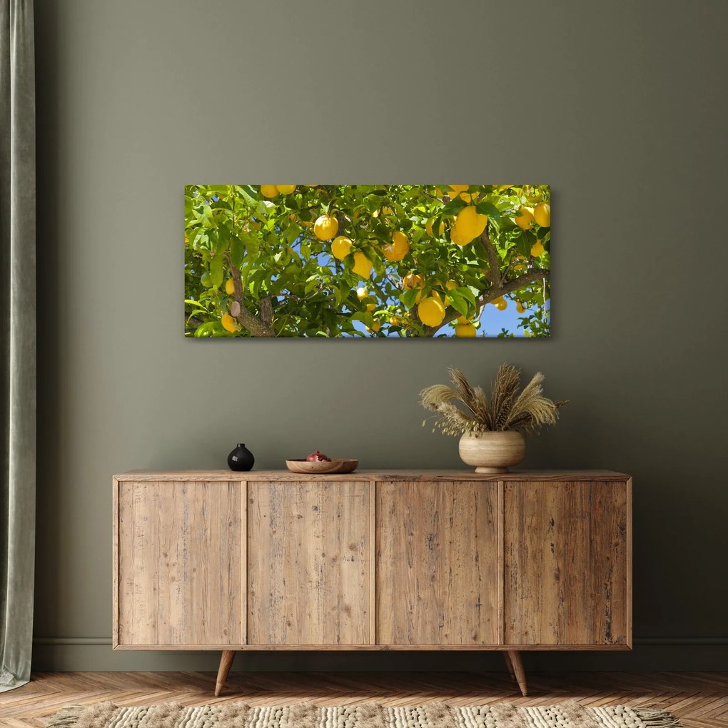 Kép - Citromfa (120x50 cm)