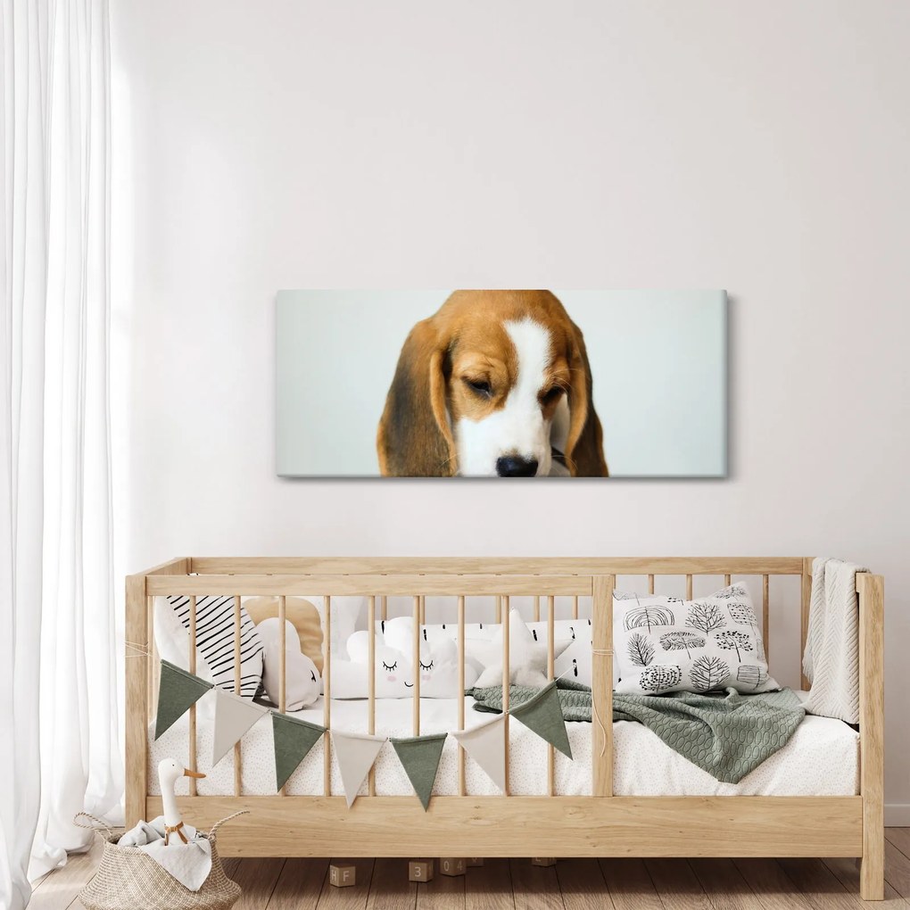 Beagle képe (120x50 cm)