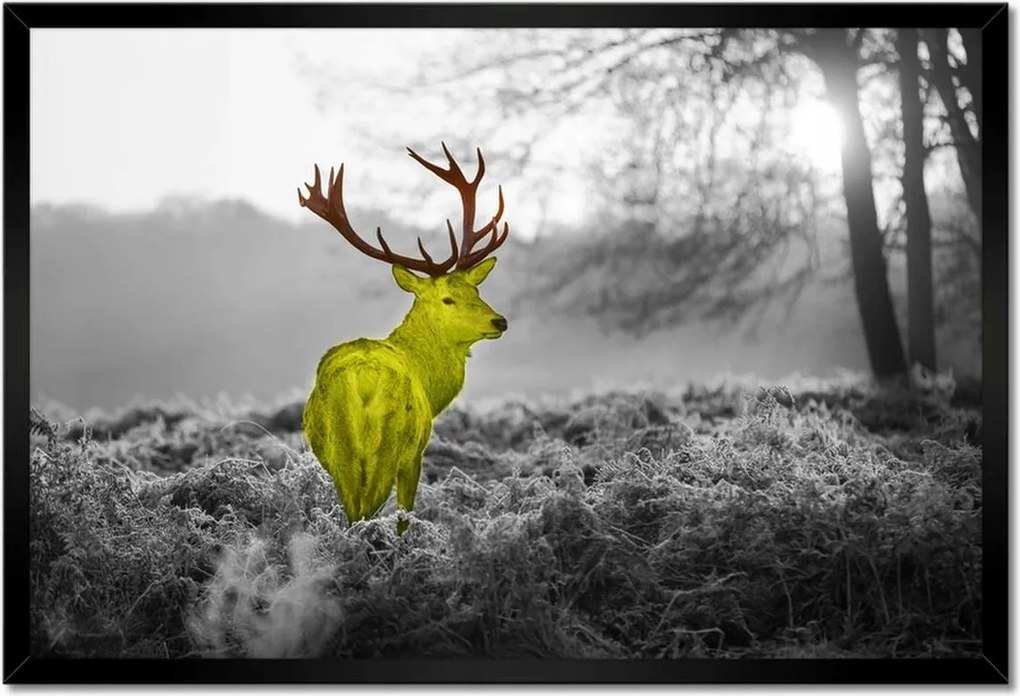 Poszter keretben 60x40 Sárga szarvas Erdő Tájkép