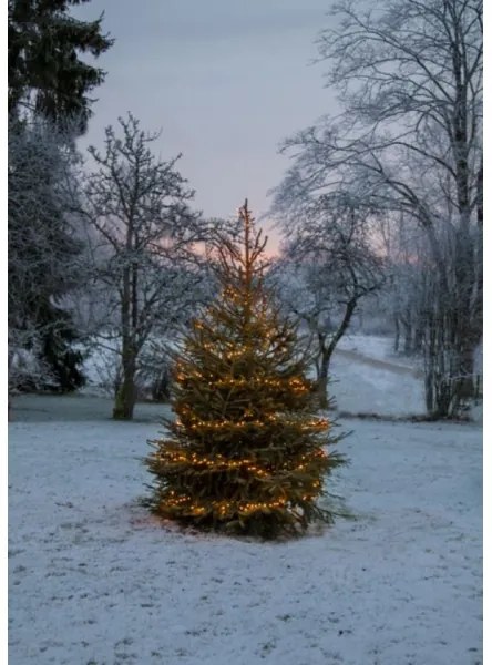 Eglo 410817 - LED kültéri karácsonyi fényfüzér GOLDEN 1200xLED 29m IP44 meleg fehér