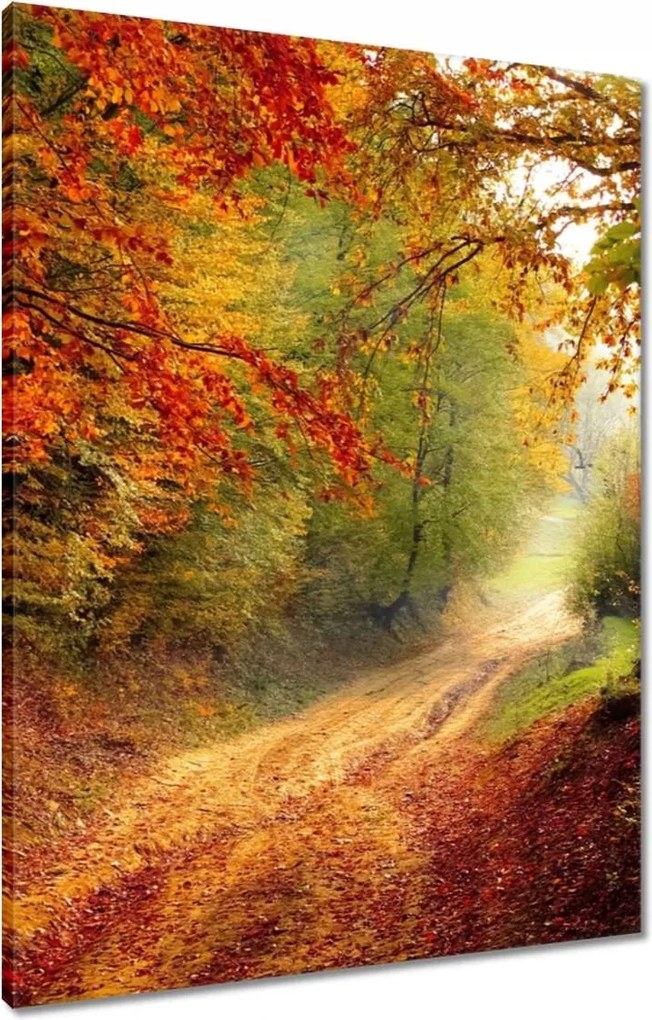 Vászonkép 60x80 Út az erdőben ősz
