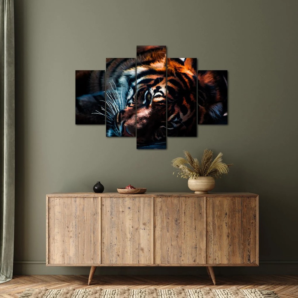 Egy fekvő tigris képe (150x105 cm)
