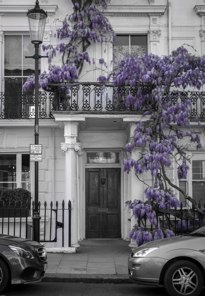 Poszter 68x98cm Ház a Portobello úton 2, Assaf Frank