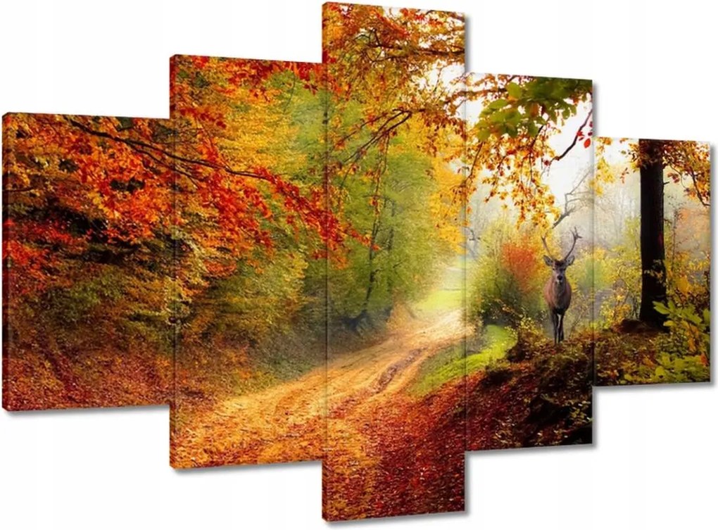 Képek 150x105 Szarvas az erdőben